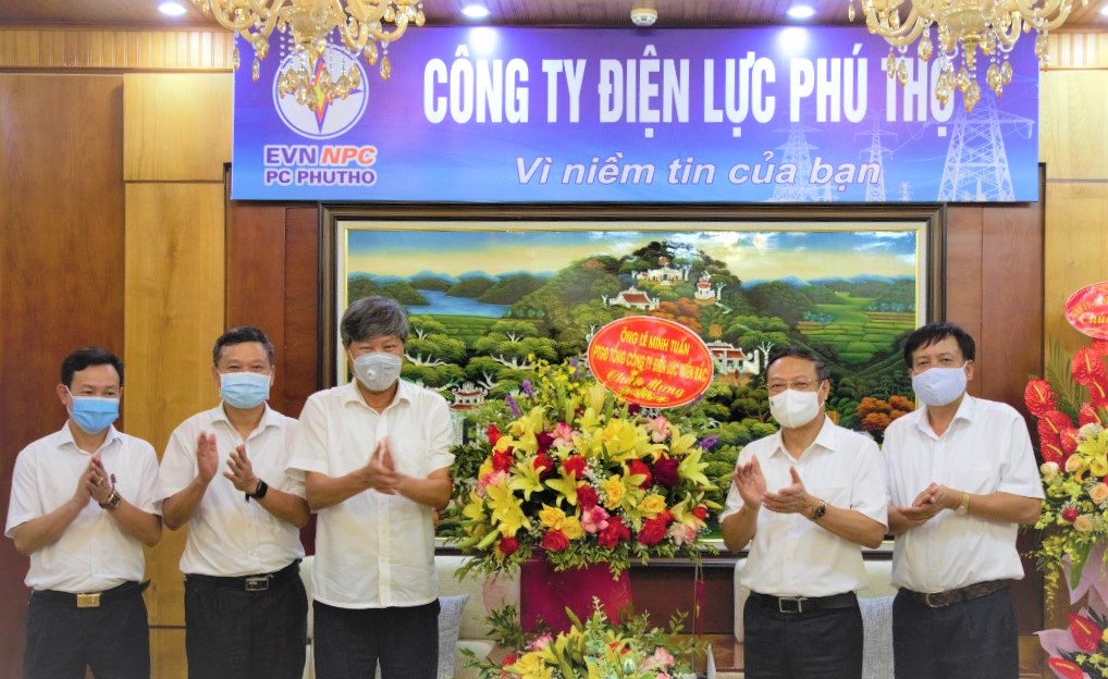 Công ty Điện lực Phú Thọ: 50 năm đổi mới và phát triển - Ảnh 3.