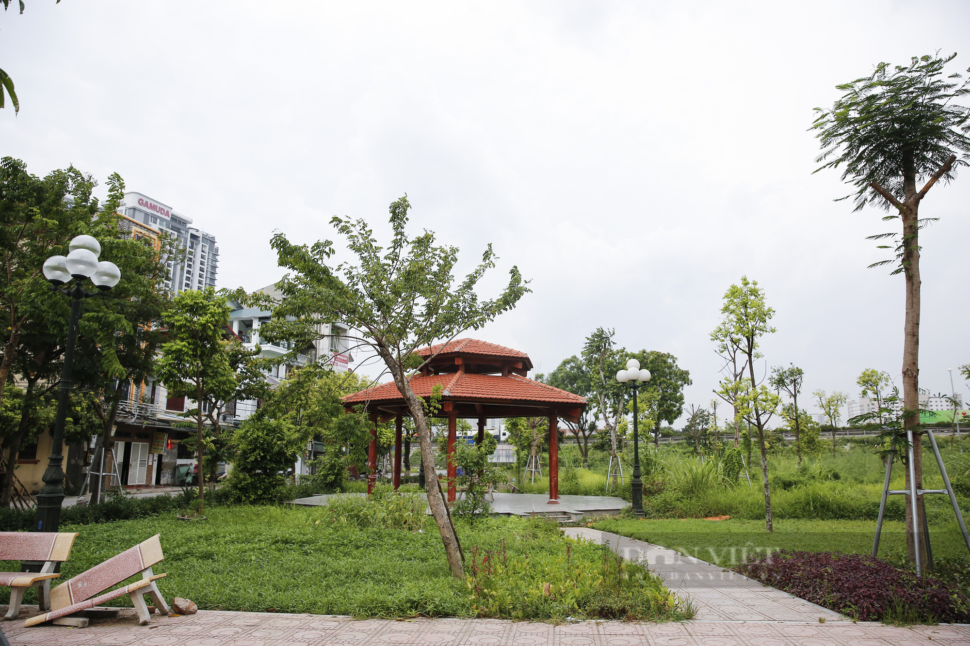 Hà Nội: Cây chết khô, ghế gãy, cỏ mọc um tùm tại công viên phường Trần Phú - Ảnh 1.
