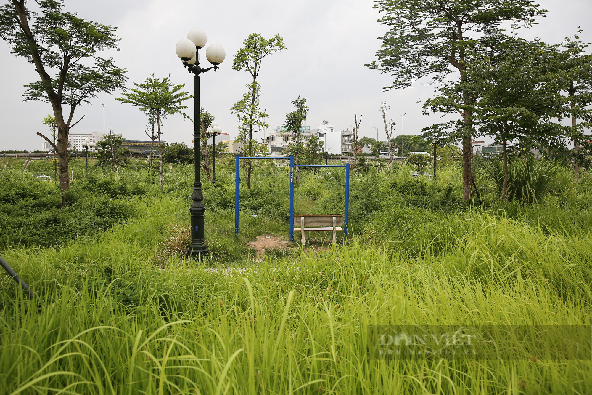 Hà Nội: Cây chết khô, ghế gãy, cỏ mọc um tùm tại công viên phường Trần Phú - Ảnh 6.