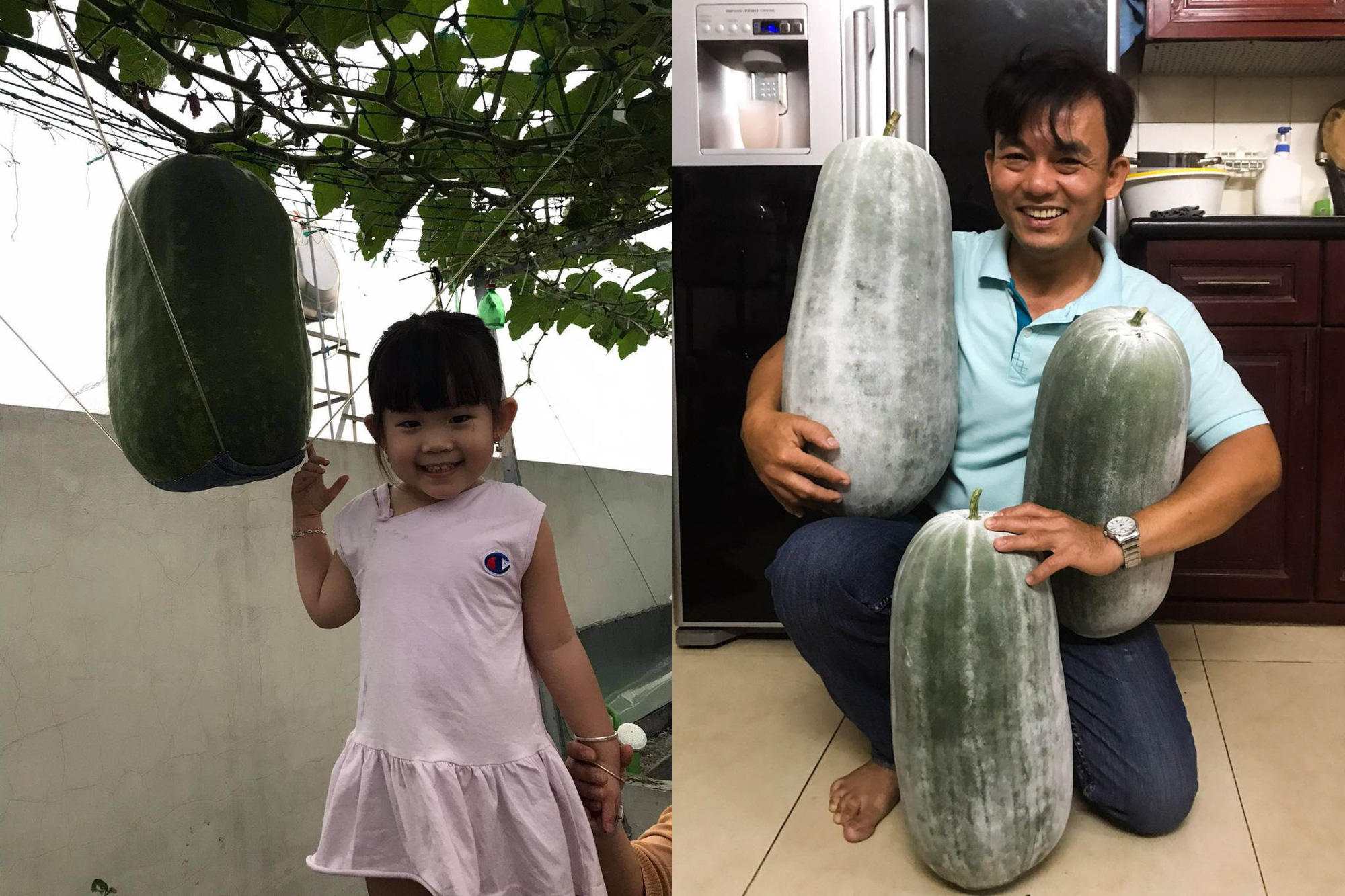 Ông bố 2 con ở Sài Gòn trồng toàn rau trái lạ có kích thước khổng lồ, bí 34kg, mướp đắng to bằng chai 1,5l - Ảnh 15.