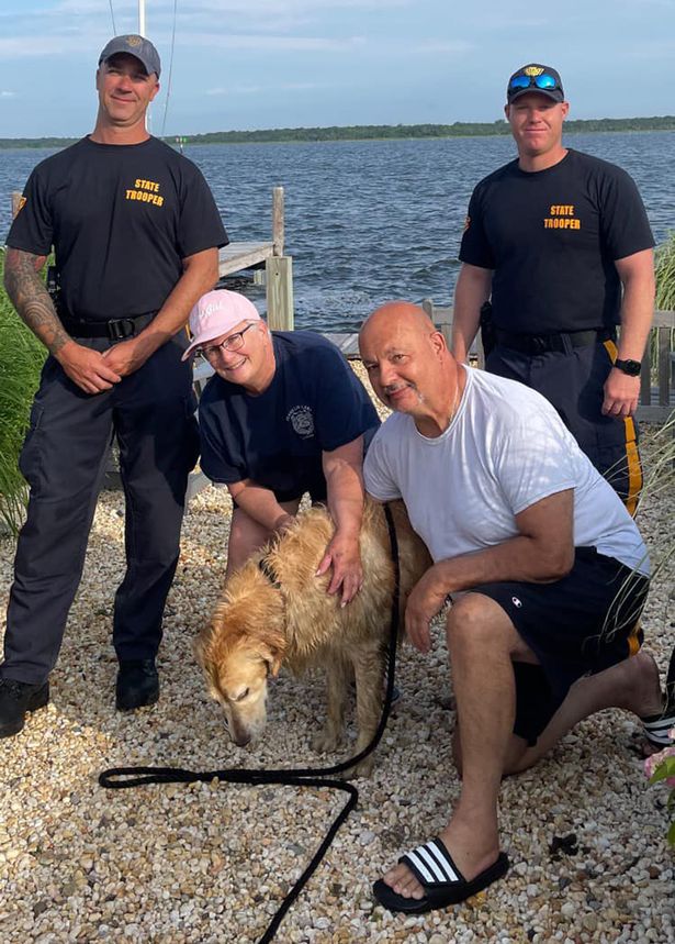 Mất tích 2 tuần, chú chó cưng được phát hiện đang bơi trên biển - Ảnh 1.