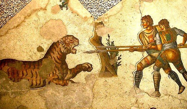 Lý do người La Mã cổ đại phát cuồng các trận đấu với sư tử - Ảnh 6.