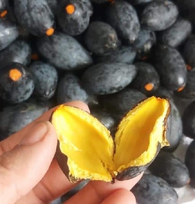 Bạn đã từng thưởng thức một trái quả đen sì sì tuyệt ngon chưa? Hãy xem hình ảnh liên quan để nhận thêm nhiều trải nghiệm thú vị về hương vị và hình dáng độc đáo của quả này nhé!