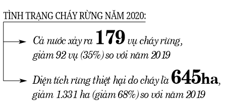 Ứng phó với nguy cơ cháy rừng ngày nắng nóng - Ảnh 3.