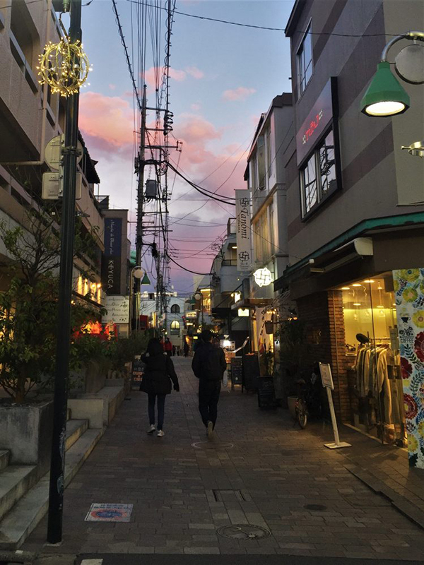 Khám phá ngoại ô Tokyo - những “viên ngọc ẩn” thời “bình thường mới” - Ảnh 5.