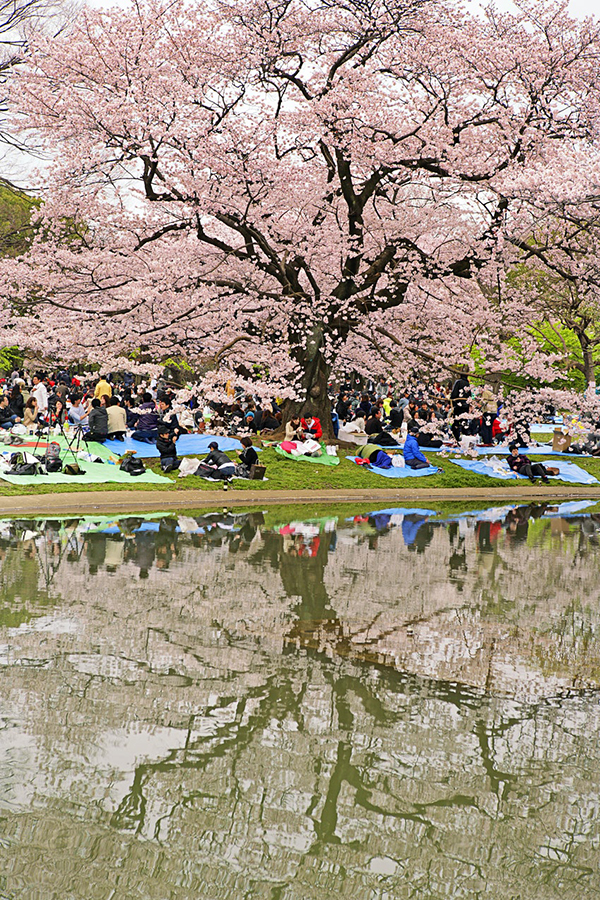 Khám phá ngoại ô Tokyo - những “viên ngọc ẩn” thời “bình thường mới” - Ảnh 1.