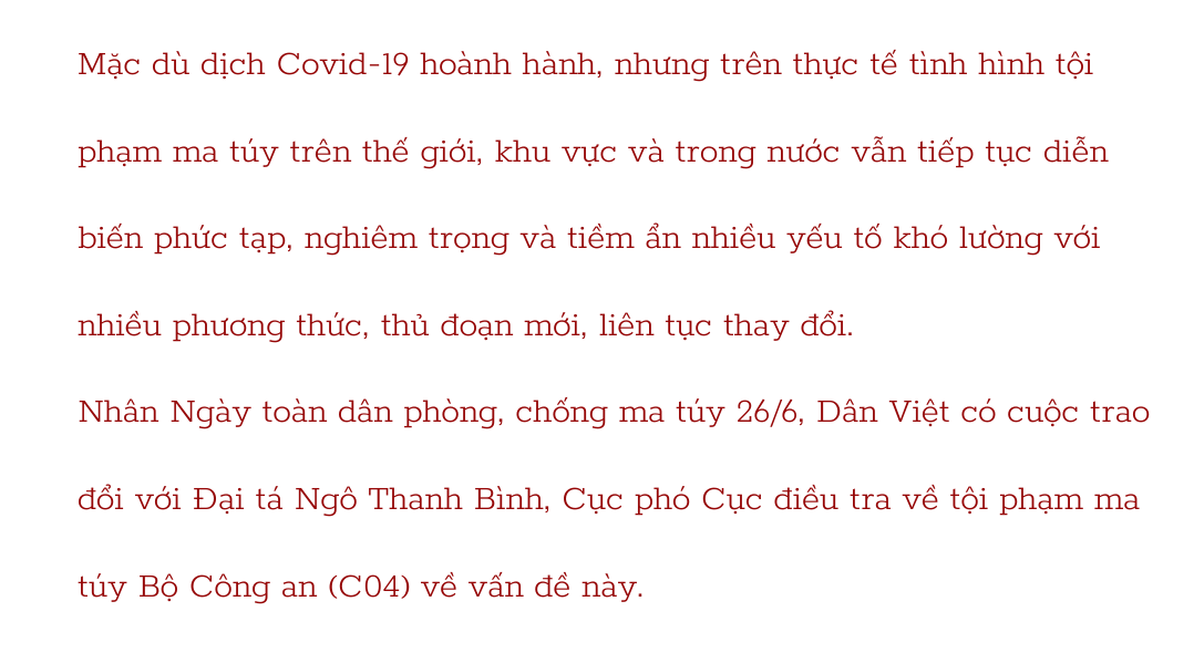 Tội phạm ma tuý ngày càng có nhiều cách &quot;lách luật&quot; - Ảnh 3.