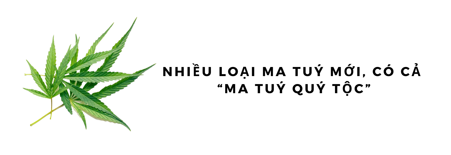 Tội phạm ma tuý ngày càng có nhiều cách &quot;lách luật&quot; - Ảnh 6.