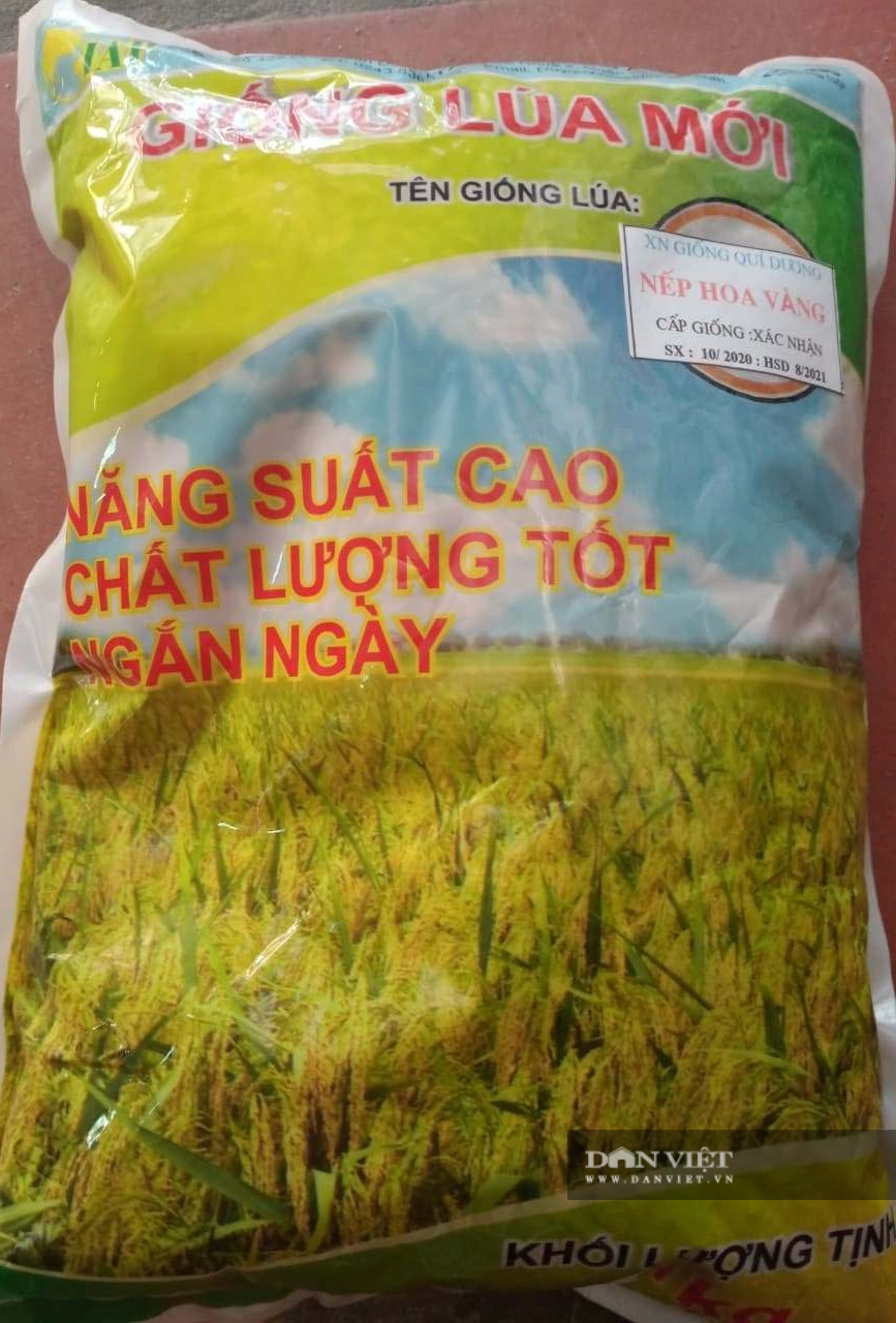 Hà Nội: Ngang nhiên bán giống lúa lạ cho dân - Ảnh 5.