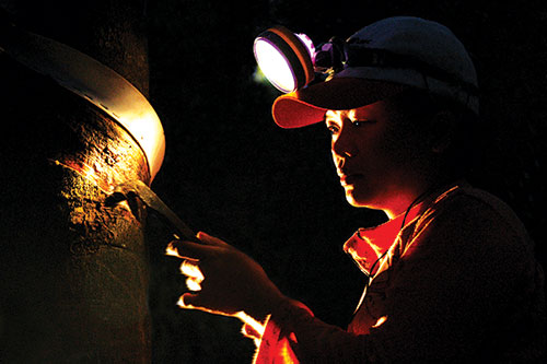 Bình Thuận: 3 giờ sáng dân ở đây đội đèn pin vô vườn cạo thứ mủ cây này, có bao nhiêu cũng bán hết veo - Ảnh 1.
