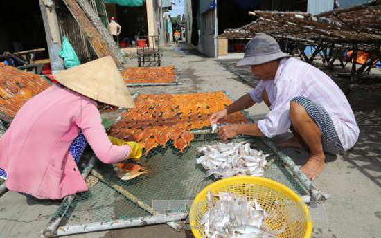 Huyện nào có bờ biển dài nhất, đánh bắt được sản lượng hải sản lớn nhất tỉnh Tiền Giang?