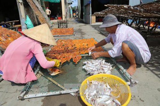 Huyện nào có bờ biển dài nhất, đánh bắt được sản lượng hải sản lớn nhất tỉnh Tiền Giang? - Ảnh 1.