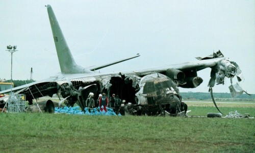 4 tai nạn máy bay quân sự thảm khốc vì đâm phải... chim trời - Ảnh 2.