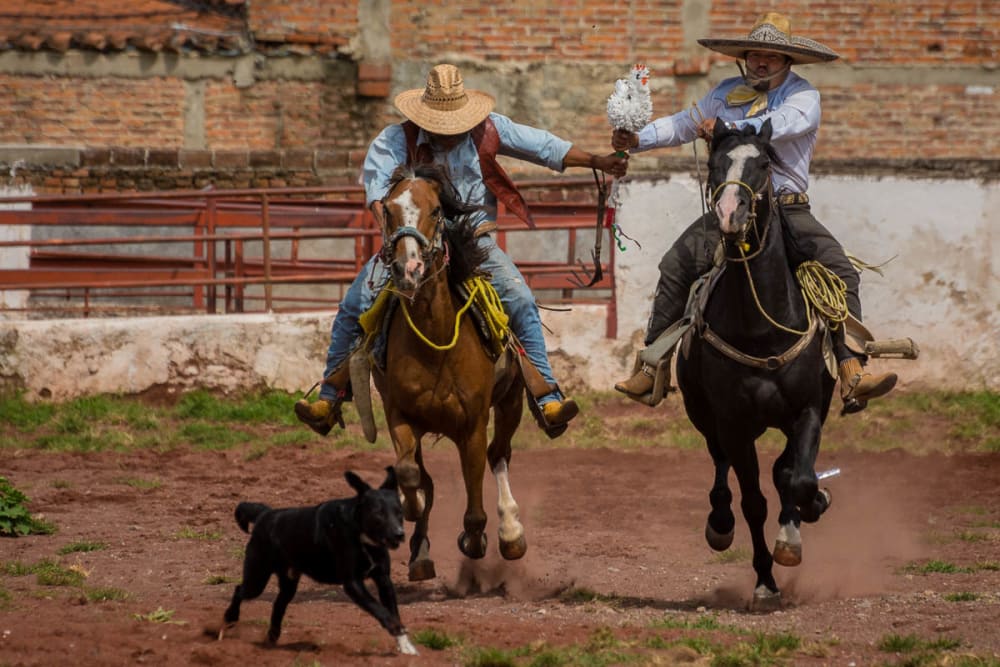 Lối sống truyền thống đầy mê hoặc tại xứ sở của các Caballero - cao bồi Mexico - Ảnh 1.
