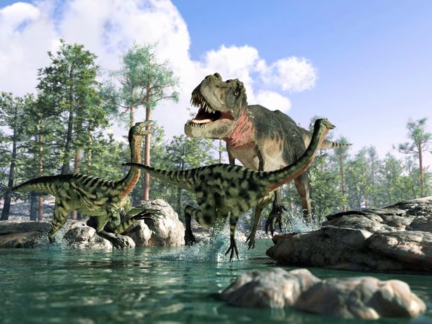 Hóa thạch khủng long T-Rex được phát hiện ở Bắc Cực làm dấy lên giả thiết mới - Ảnh 1.