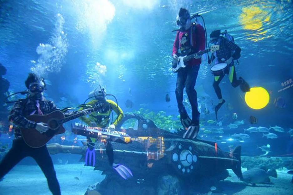 Mỹ: Nàng tiên cá sexy chơi nhạc tại lễ hội biển khiến khách du lịch thích thú - Ảnh 3.