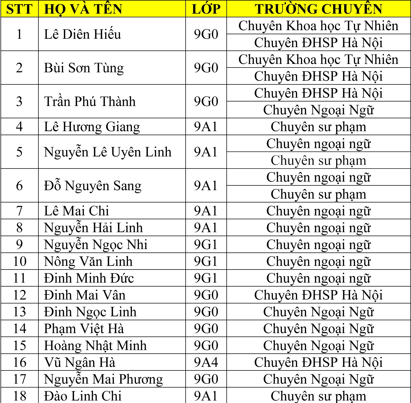 Học sinh Trường Newton đứng đầu đỗ trường chuyên và thi vào lớp 10 - Ảnh 2.