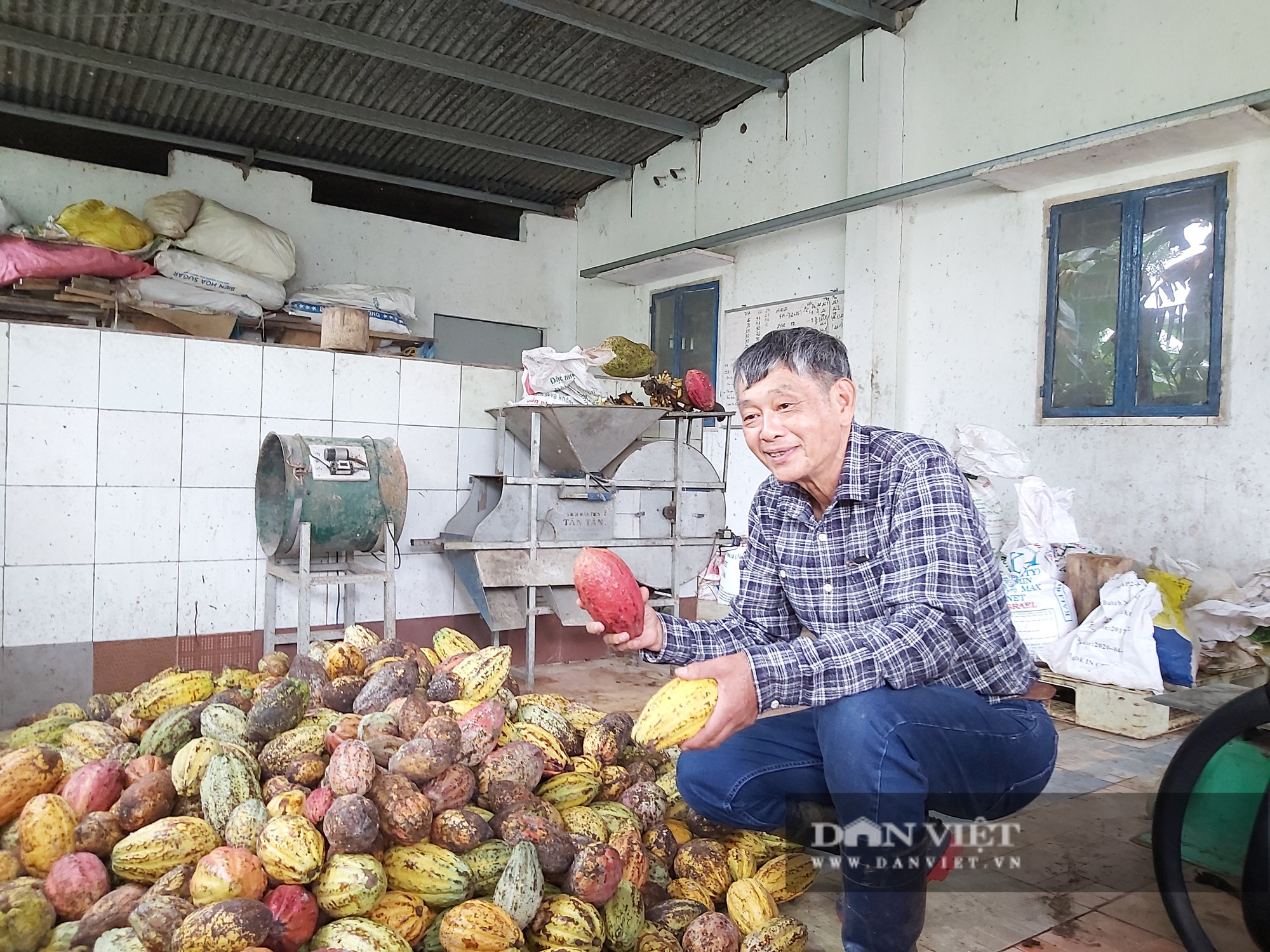 Tiến sĩ về vườn làm ra dòng socola đắt nhất Việt Nam - Ảnh 1.