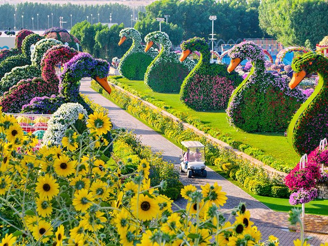 Ghé thăm vườn hoa lớn nhất thế giới, nơi tuyển Việt Nam thi đấu ...