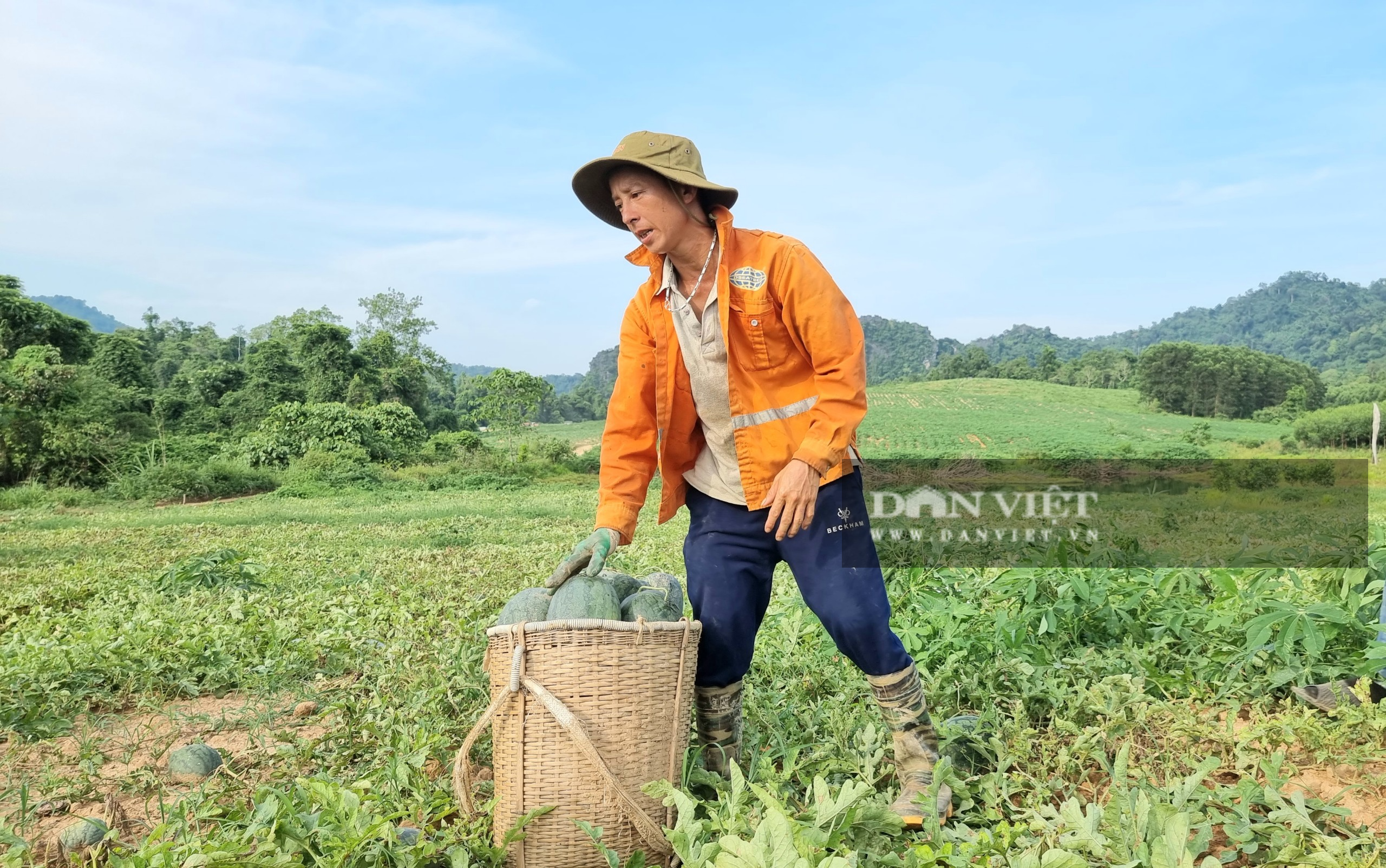 Nông dân Thanh Hóa “chang” dưới nắng nóng 38 độ C thu hoạch dưa hấu - Ảnh 7.