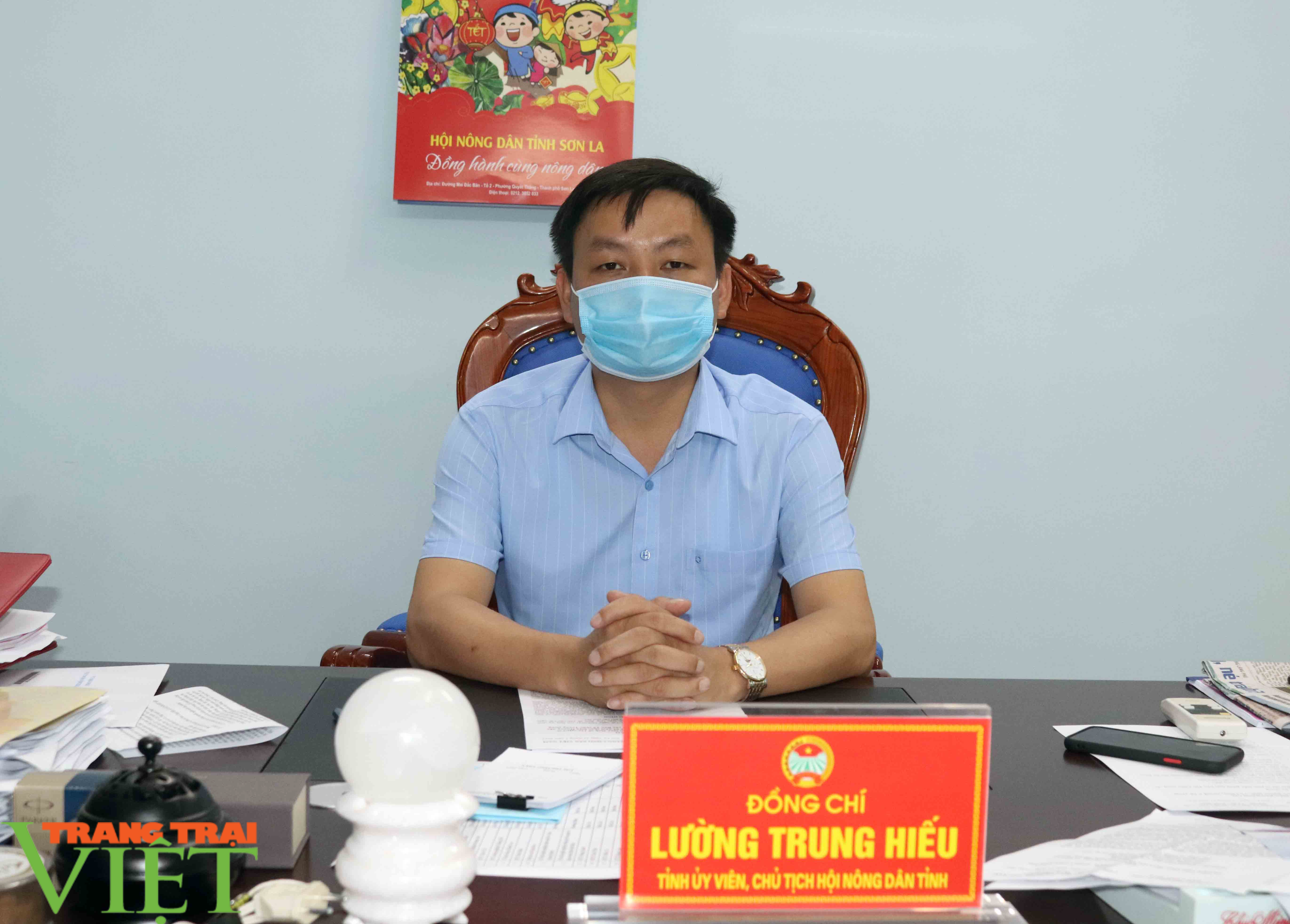 Hội Nông dân tỉnh Sơn La hỗ trợ tiêu thụ nông sản cho nông dân - Ảnh 1.