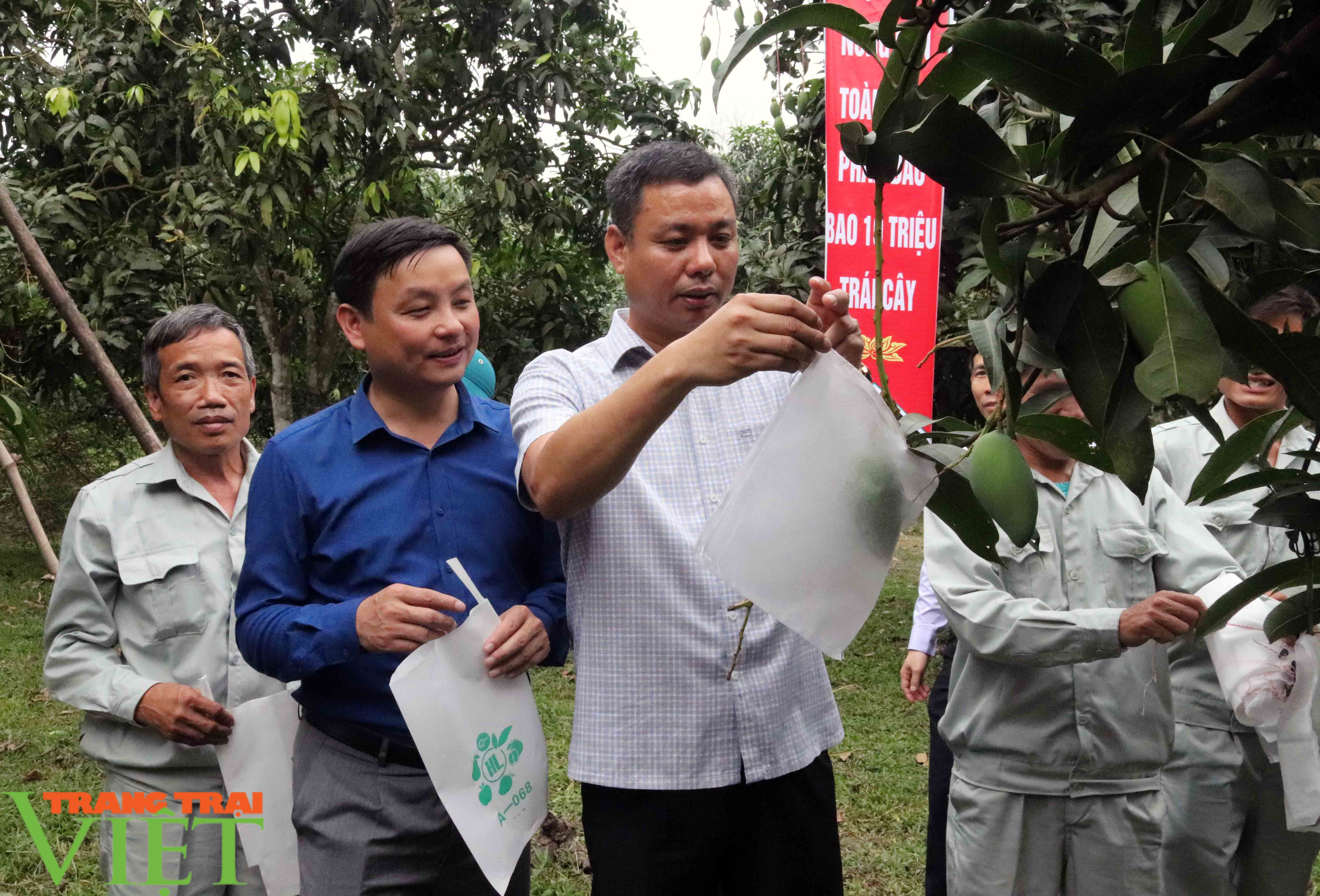 Hội Nông dân tỉnh Sơn La hỗ trợ tiêu thụ nông sản cho nông dân - Ảnh 6.
