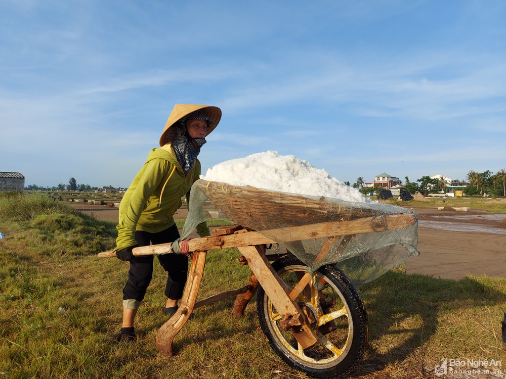 Quần quật làm việc giữa trưa nắng 40 độ C, diêm dân Nghệ An chỉ có thu nhập vài chục nghìn đồng - Ảnh 9.