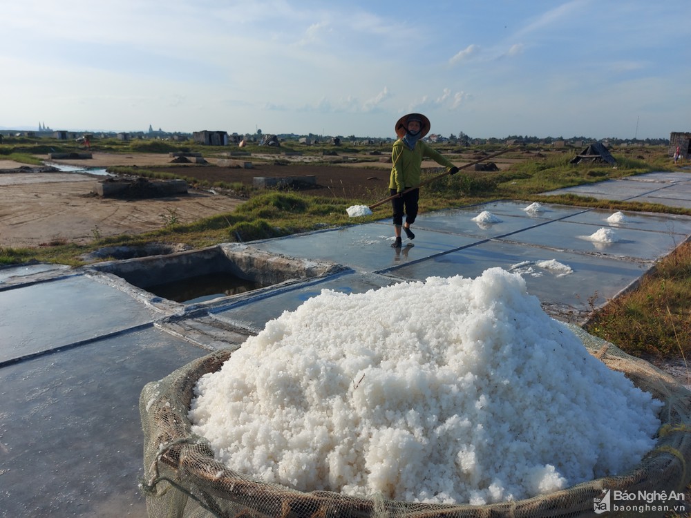 Quần quật làm việc giữa trưa nắng 40 độ C, diêm dân Nghệ An chỉ có thu nhập vài chục nghìn đồng - Ảnh 8.