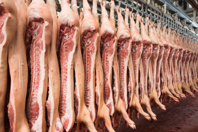 Thịt lợn Nga chiếm gần một nửa thịt lợn nhập khẩu - Ảnh 1.