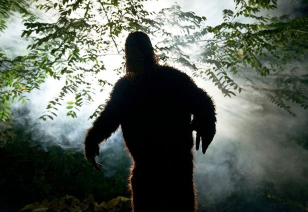 Người đàn ông tuyên bố đã nhìn thấy Bigfoot trong vườn nhà - Ảnh 2.