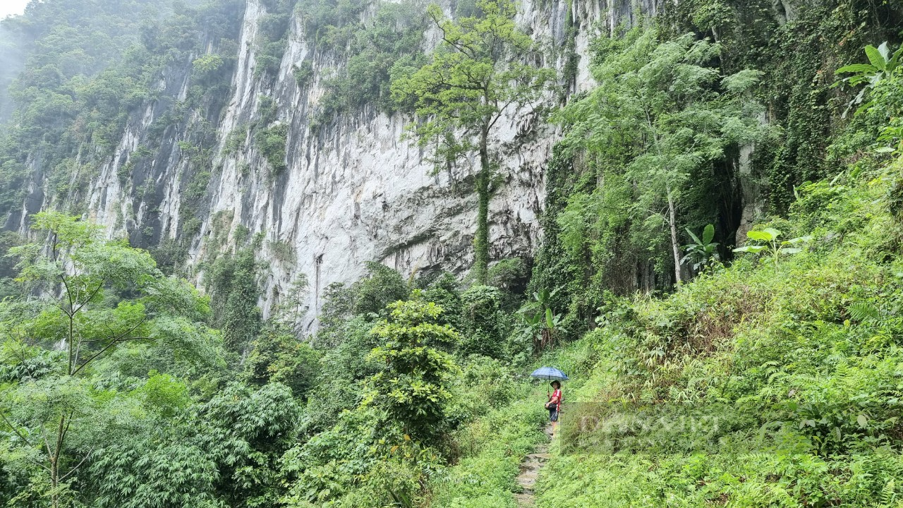 Bản Kho Mường một trải nghiệm thật sự, cho người thích khám phá vẻ hoang sơ trên đỉnh Pù Luông  - Ảnh 4.