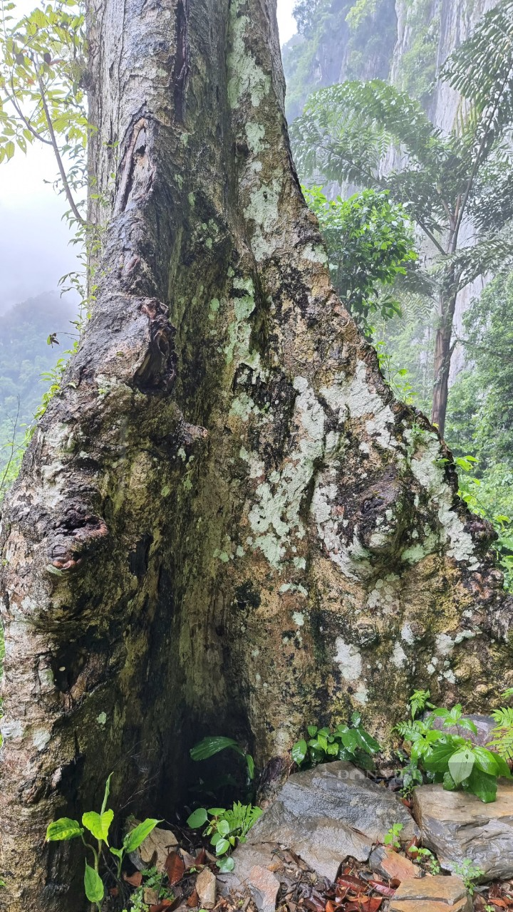 Bản Kho Mường một trải nghiệm thật sự, cho người thích khám phá vẻ hoang sơ trên đỉnh Pù Luông  - Ảnh 5.