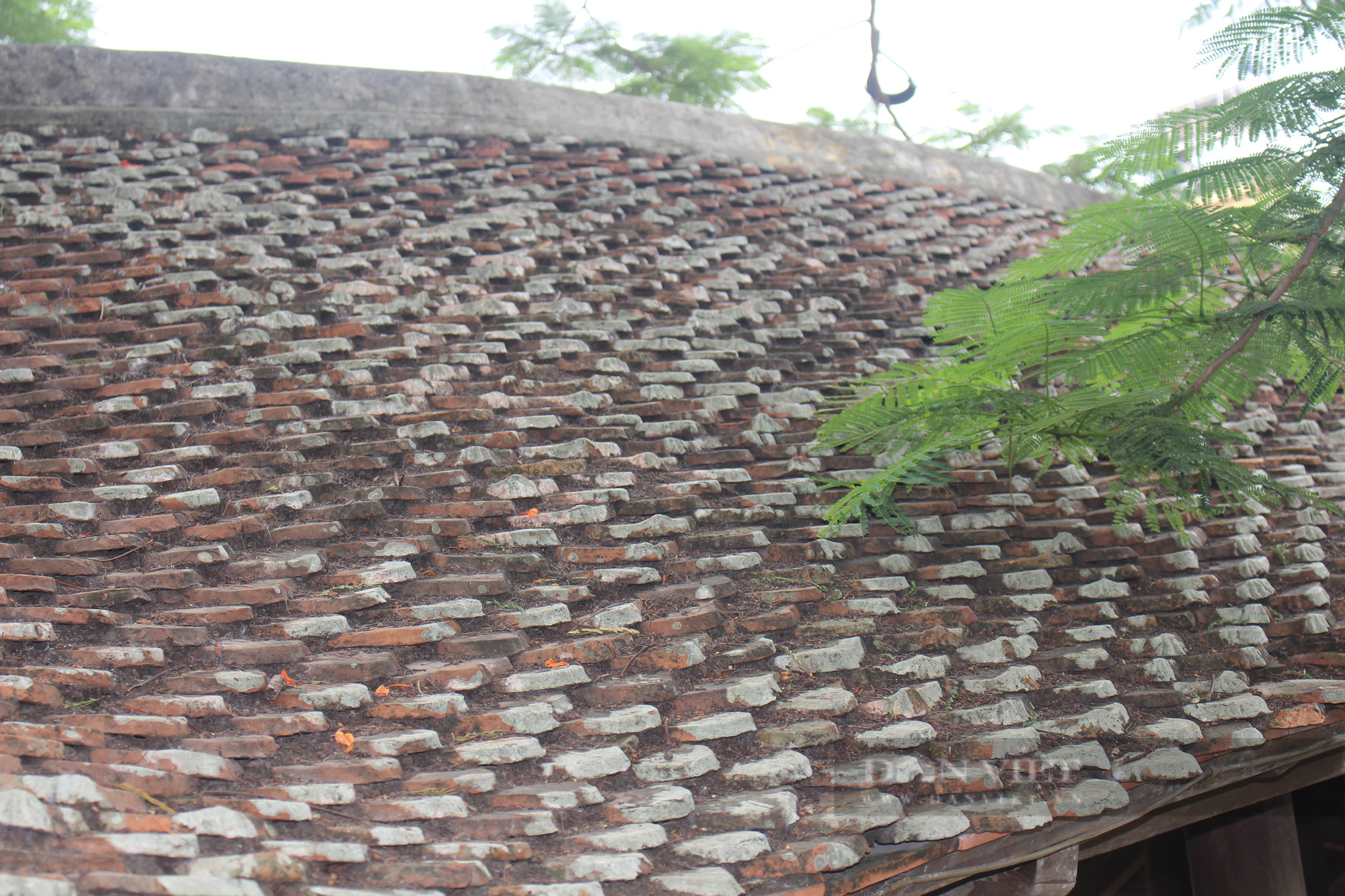 Cầu ngói cổ xưa độc đáo có mái tựa dáng rồng bay ở Nam Định - Ảnh 8.