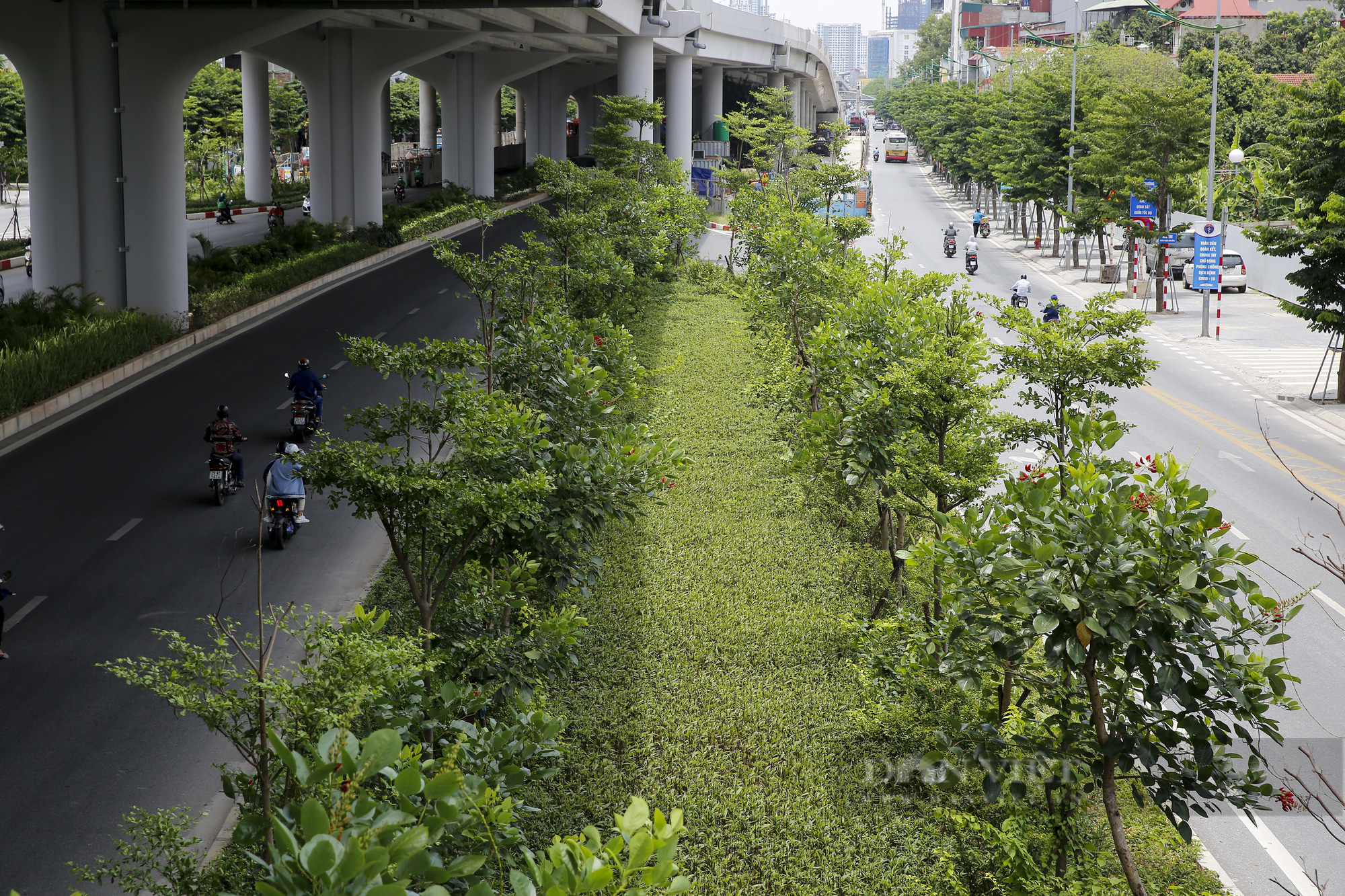 Hà Nội: Con đường trở thành “ốc đảo” mát rượi bởi đường trên cao và cây xanh - Ảnh 4.