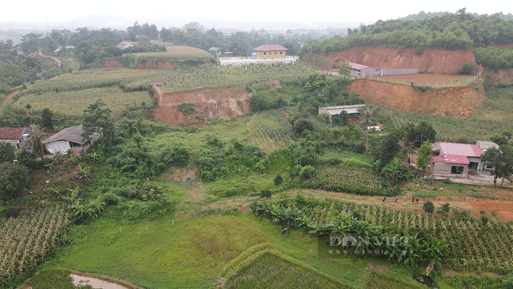 Nhà đầu tư về thôn làng, vùng rừng núi 'săn' đất vườn sau 'sốt đất' - Ảnh 3.