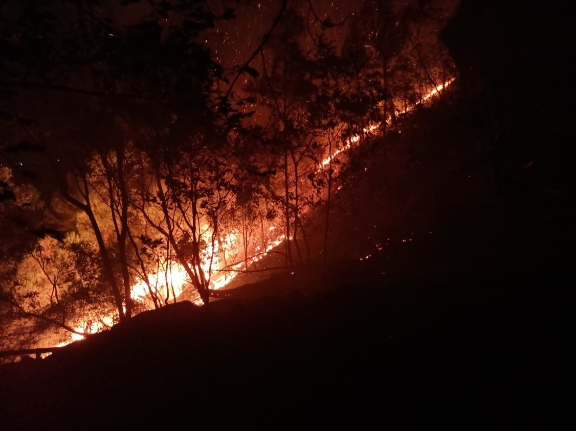 Thủ tướng yêu cầu xử lý trách nhiệm quản lý người đứng đầu khi để xảy ra cháy rừng - Ảnh 2.
