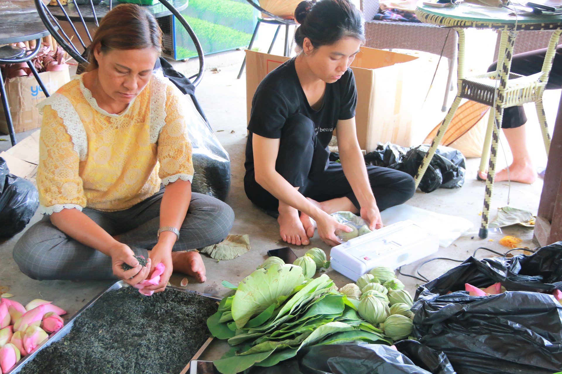 Ninh Bình: Thứ đồ uống tinh túy, tự nhiên mà thượng hạng có giá cả triệu đồng/lg - Ảnh 9.