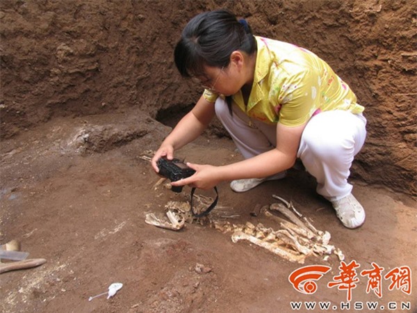 Trong lăng mộ bà nội Tần Thủy Hoàng có giống loài nào chưa từng ai biết đến? - Ảnh 1.