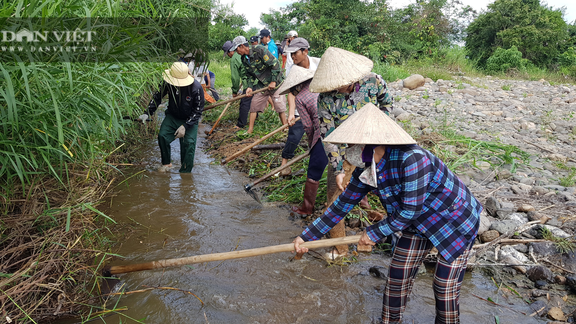 Phú Yên: Thủy nông đề nghị thủy điện xả nước liên tục về hạ du để cứu cây trồng - Ảnh 2.