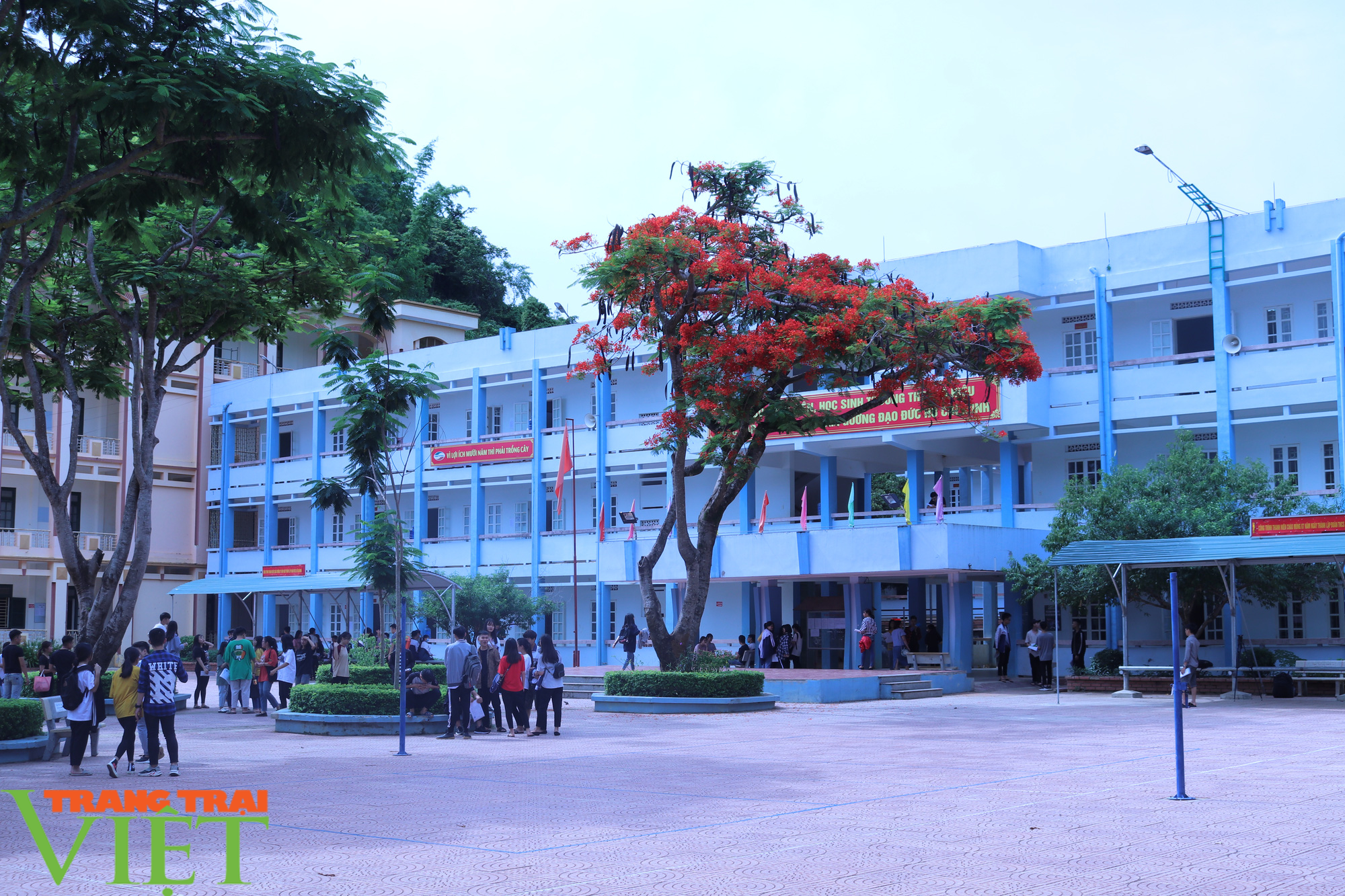 Nóng: Các trường THPT ở tỉnh Sơn La không thi tuyển vào lớp 10 - Ảnh 1.