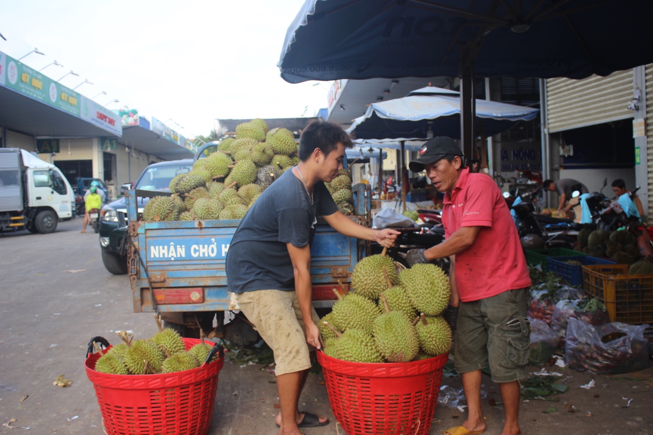 Các tỉnh lập chốt phòng dịch Covid-19, nhà vườn kêu “mão vườn” gía rẻ, thương lái lắc đầu vì sợ cách ly  - Ảnh 3.