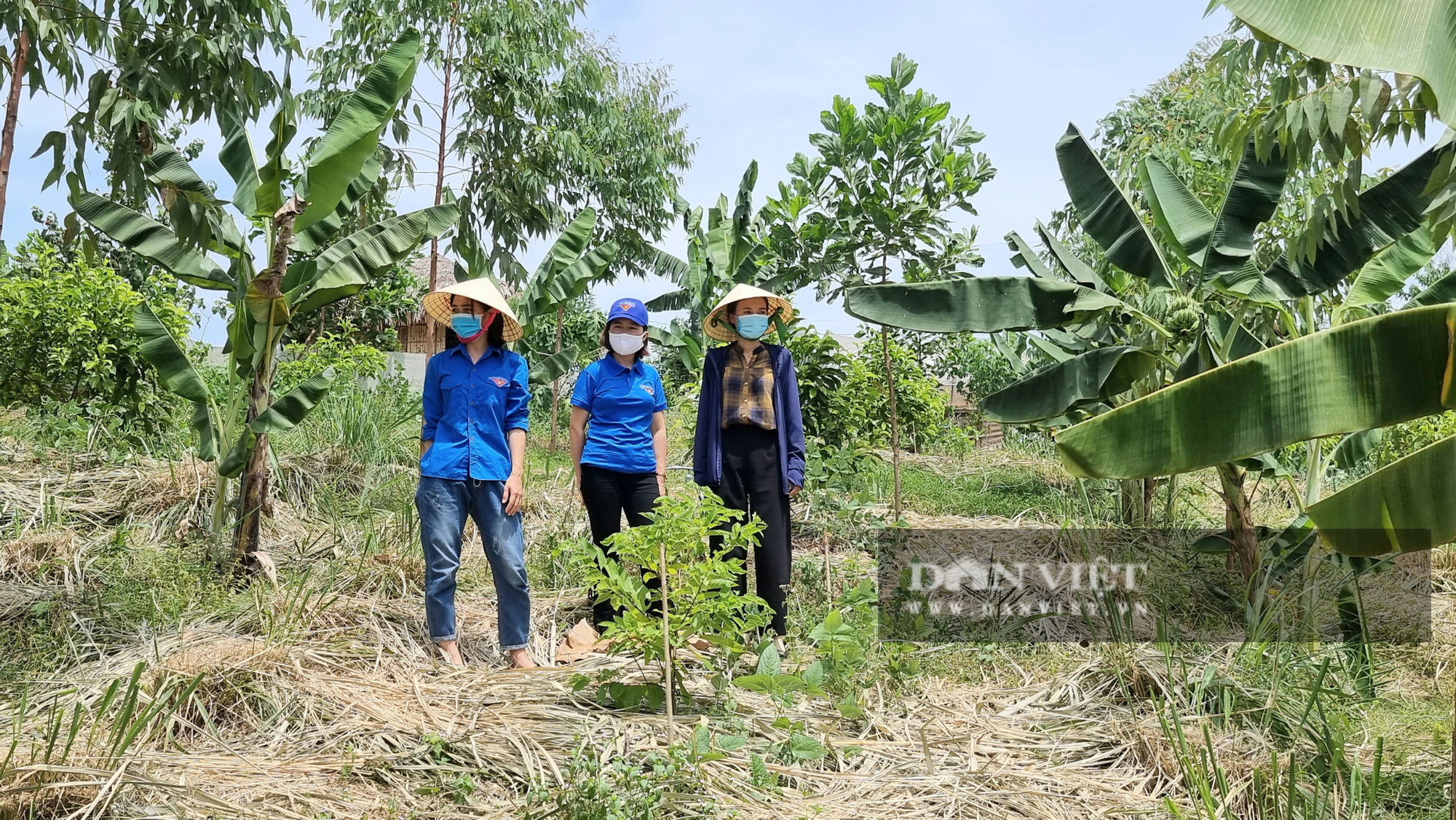 Vườn rừng  Mô hình nông nghiệp sinh thái tối ưu  Agrivn