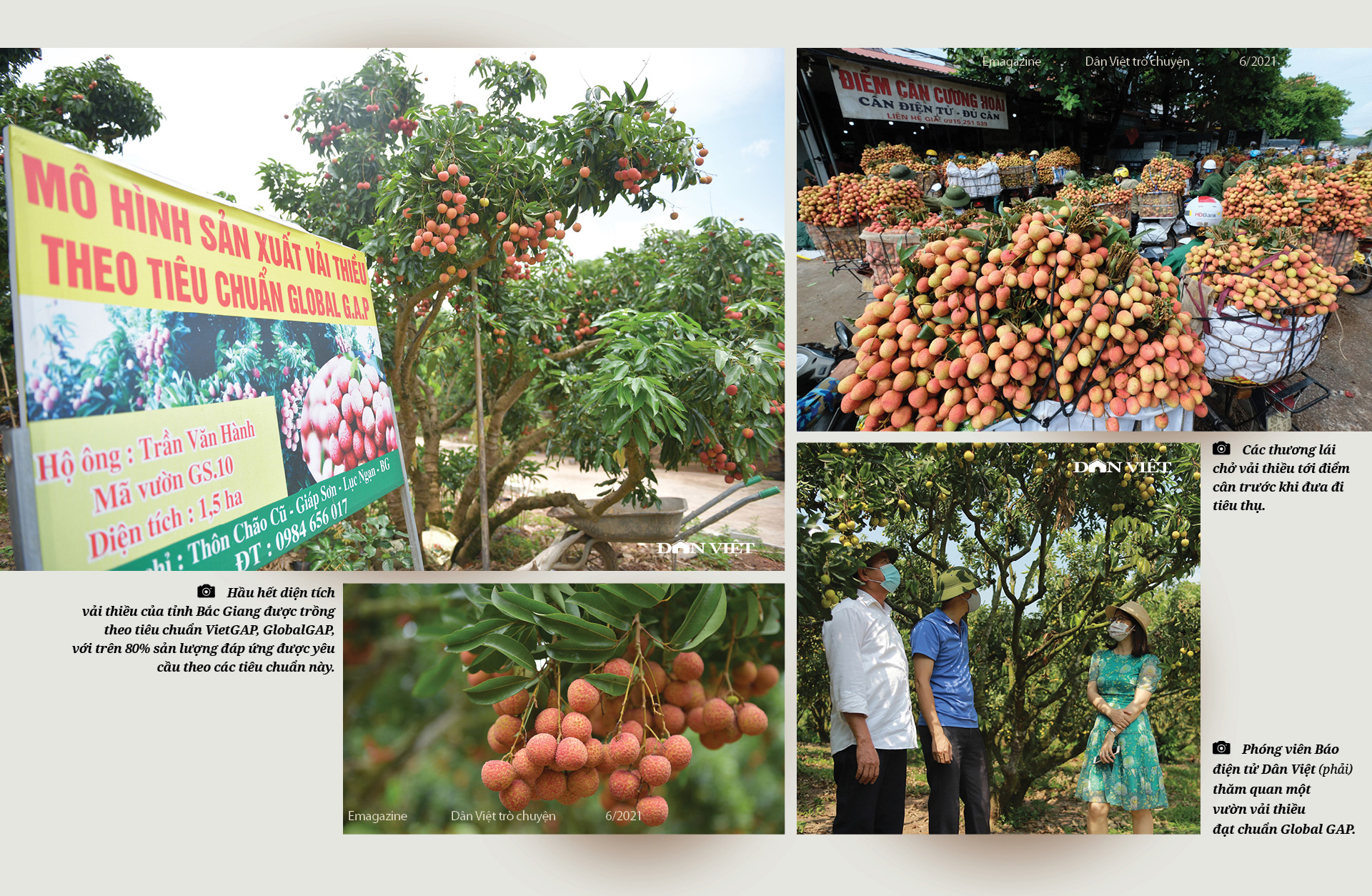 Ủy viên Trung ương Đảng, Bí thư Tỉnh ủy Bắc Giang Dương Văn Thái: Mùa vải nóng sẽ…ngọt ngào! - Ảnh 10.