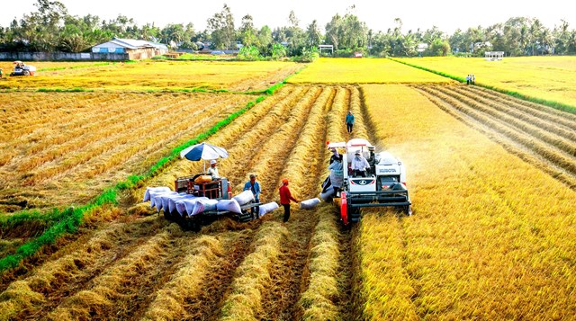 Nông sản xuất khẩu EU của Việt Nam sẽ tăng trưởng mạnh năm 2022 - Ảnh 1.