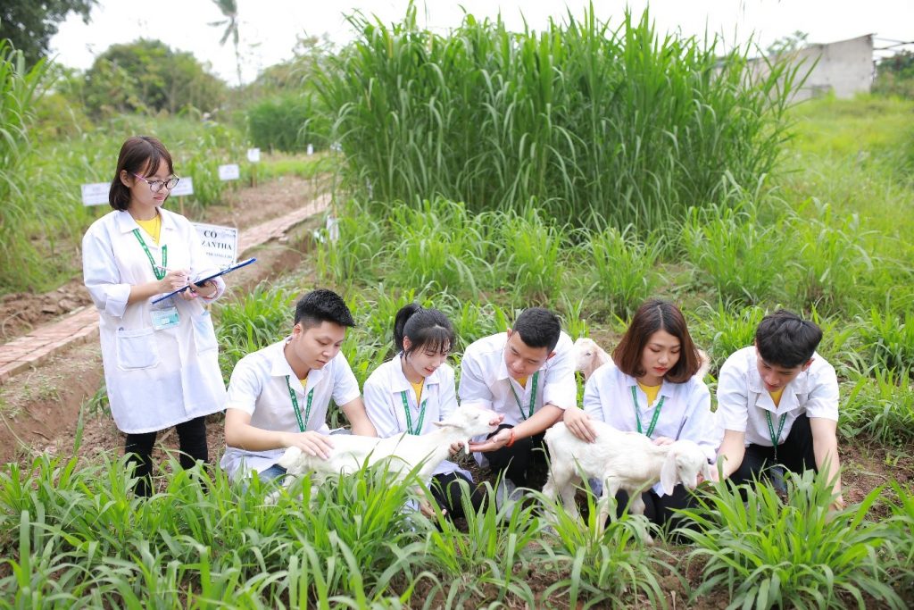 Chăn nuôi thú y: Rộng mở cơ hội việc làm - Ảnh 2.