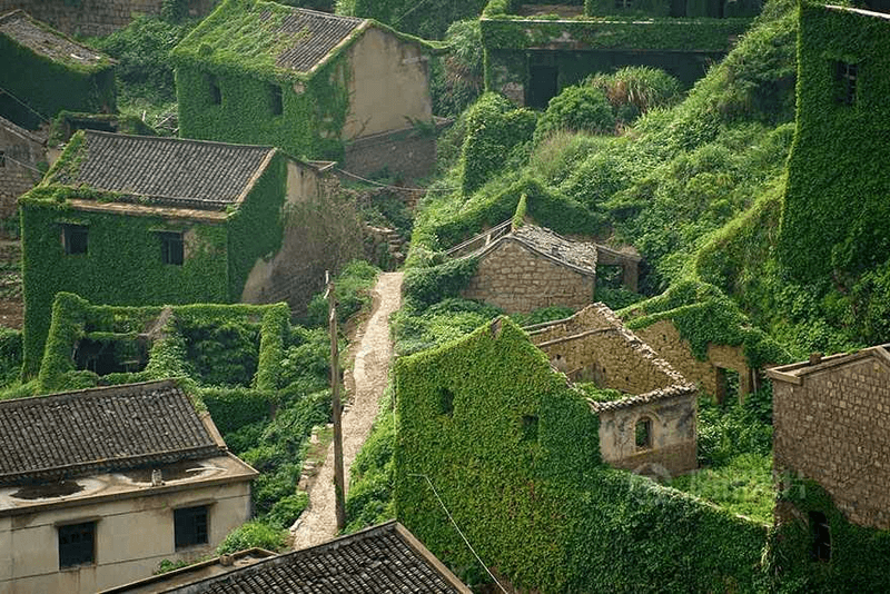 Ngôi làng không người ở được phủ bởi cây xanh quá độc đáo  - Ảnh 7.