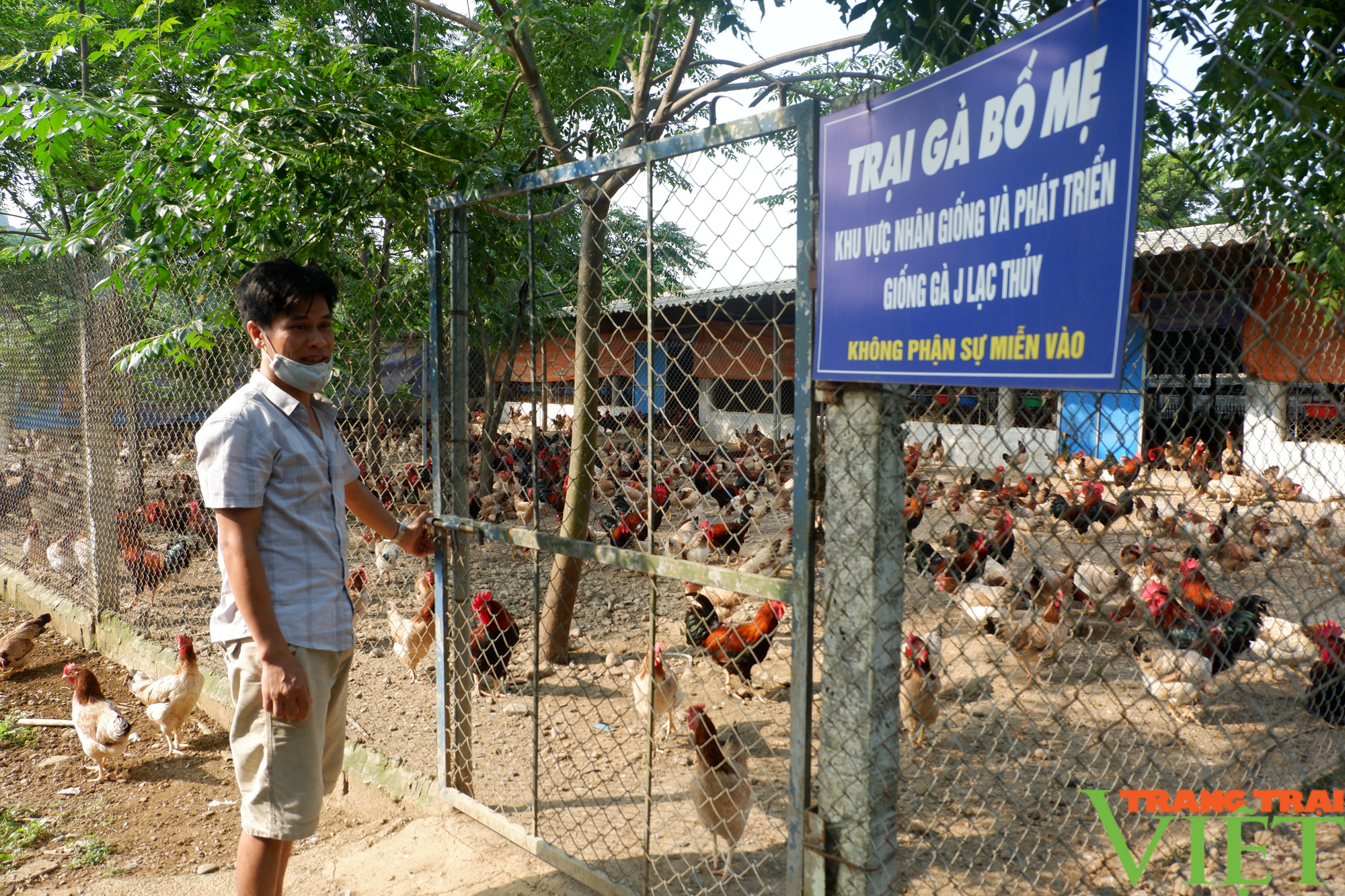 Hòa Bình: Đệm lót sinh học là "bí kíp" giúp nông dân chăn nuôi gà an toàn, thu tiền tỷ mỗi năm - Ảnh 1. Hòa Bình: Đệm lót sinh học là "bí kíp" giúp nông dân chăn nuôi gà an toàn, thu tiền tỷ mỗi năm - Ảnh 1.