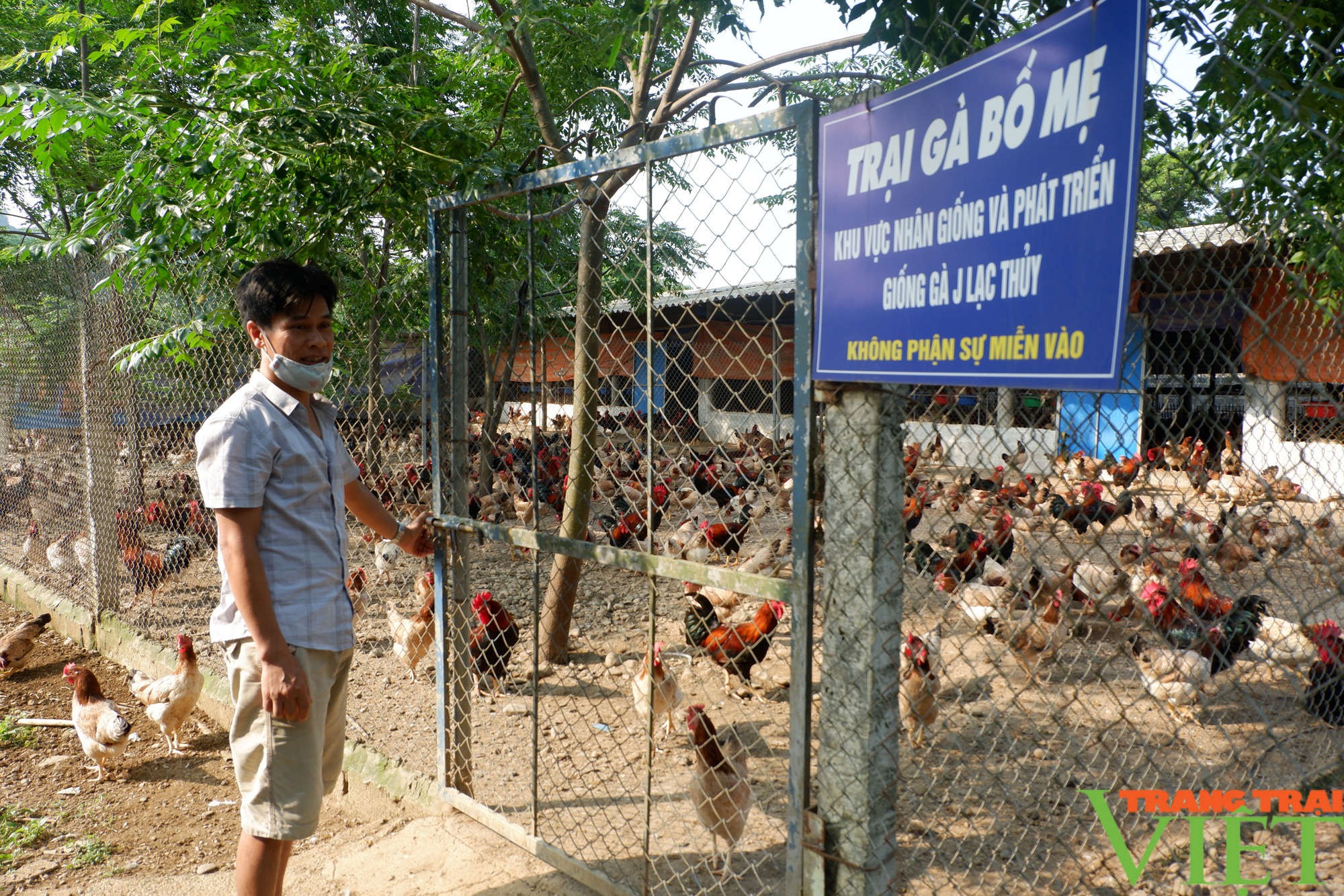 Hòa Bình: Đệm lót sinh học là &quot;bí kíp&quot; giúp nông dân chăn nuôi gà an toàn, thu tiền tỷ mỗi năm - Ảnh 1.