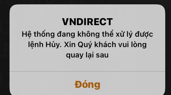 Bị “bịt mắt” đặt lệnh, nhà đầu tư bức xúc, chuyên gia nói gì? - Ảnh 1.