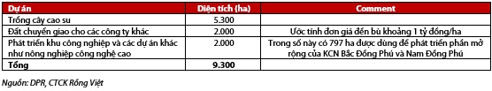 VDSC: Cao su Đồng Phú có thể lãi trên 410 tỷ đồng năm 2021 nhờ tiền đền bù đất  - Ảnh 2.